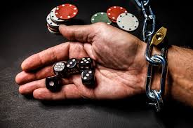 Как войти на сайт Pelican Casino
